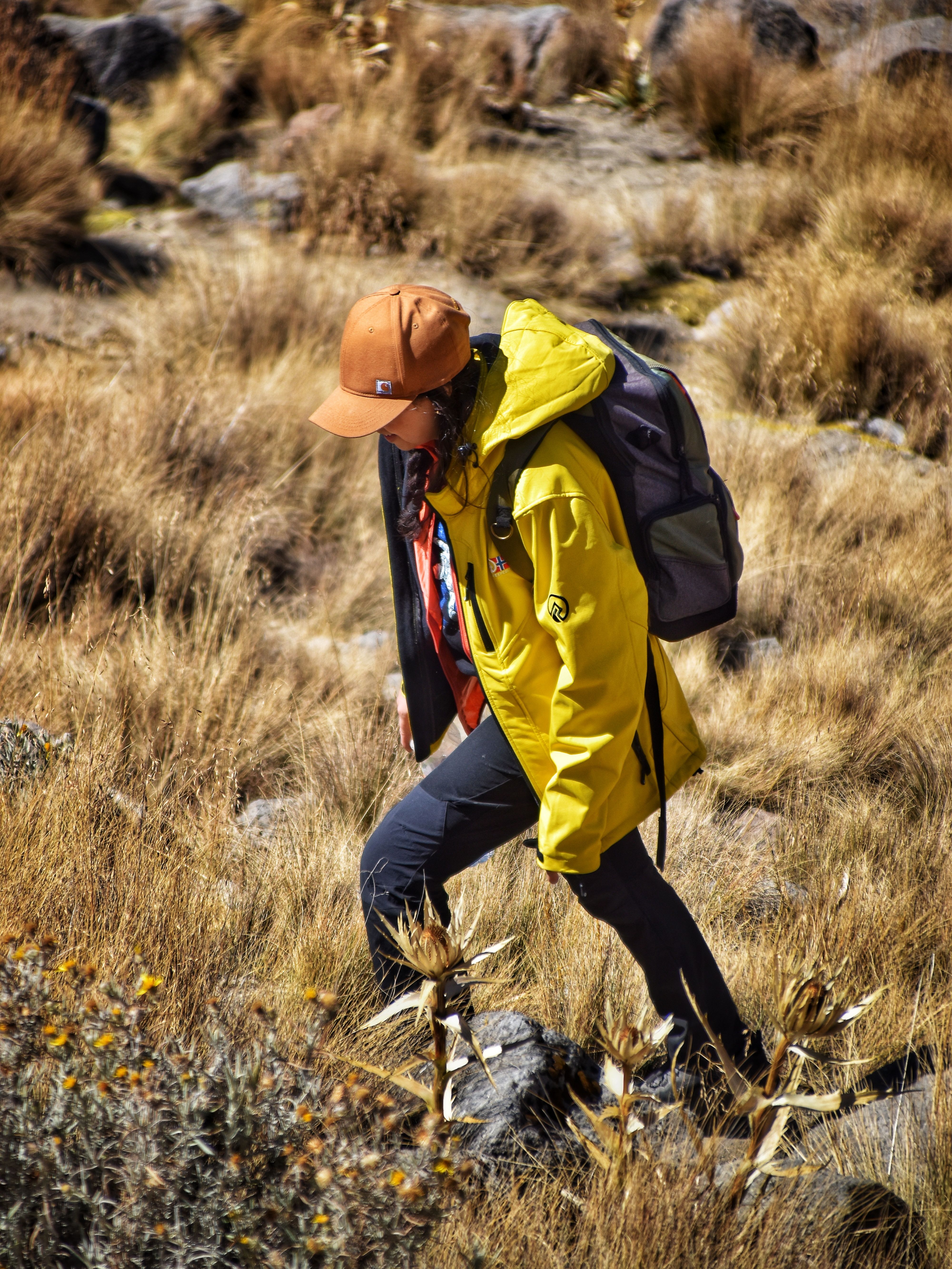 Kilimanjaro Trekking